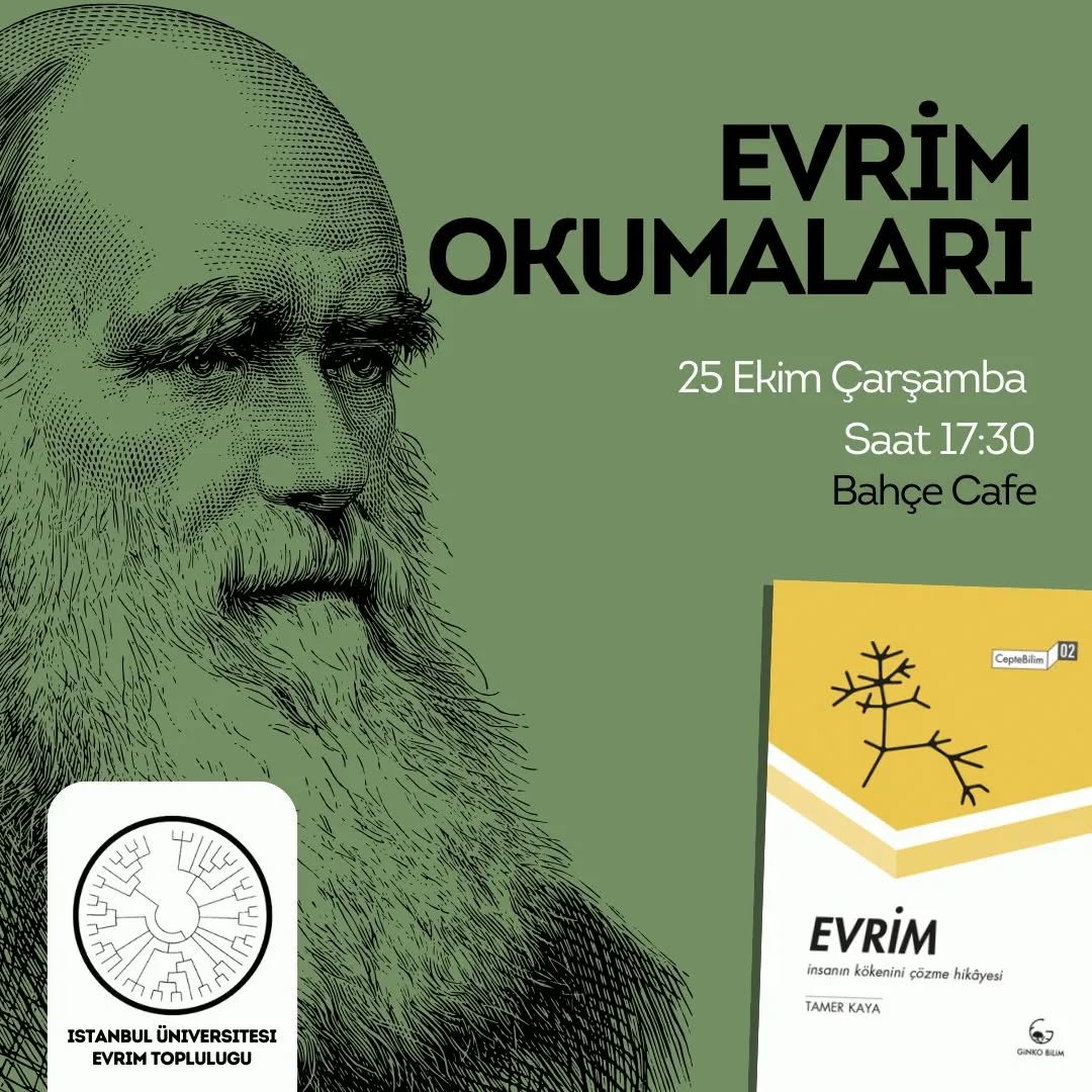 Evrim Okumaları 1: Tamer Kaya