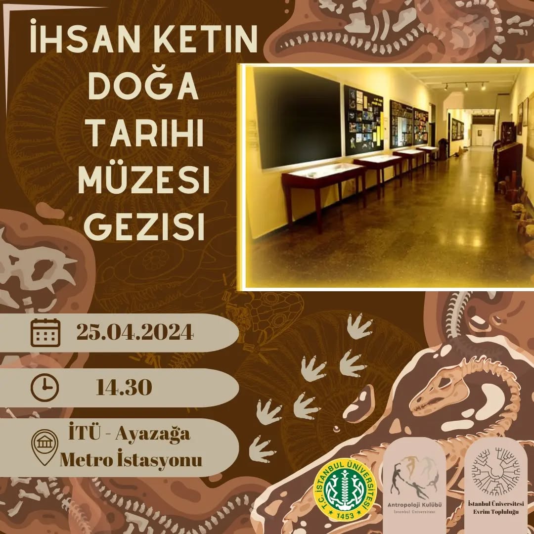 İhsan Ketin Doğa Tarihi Müzesi Gezisi