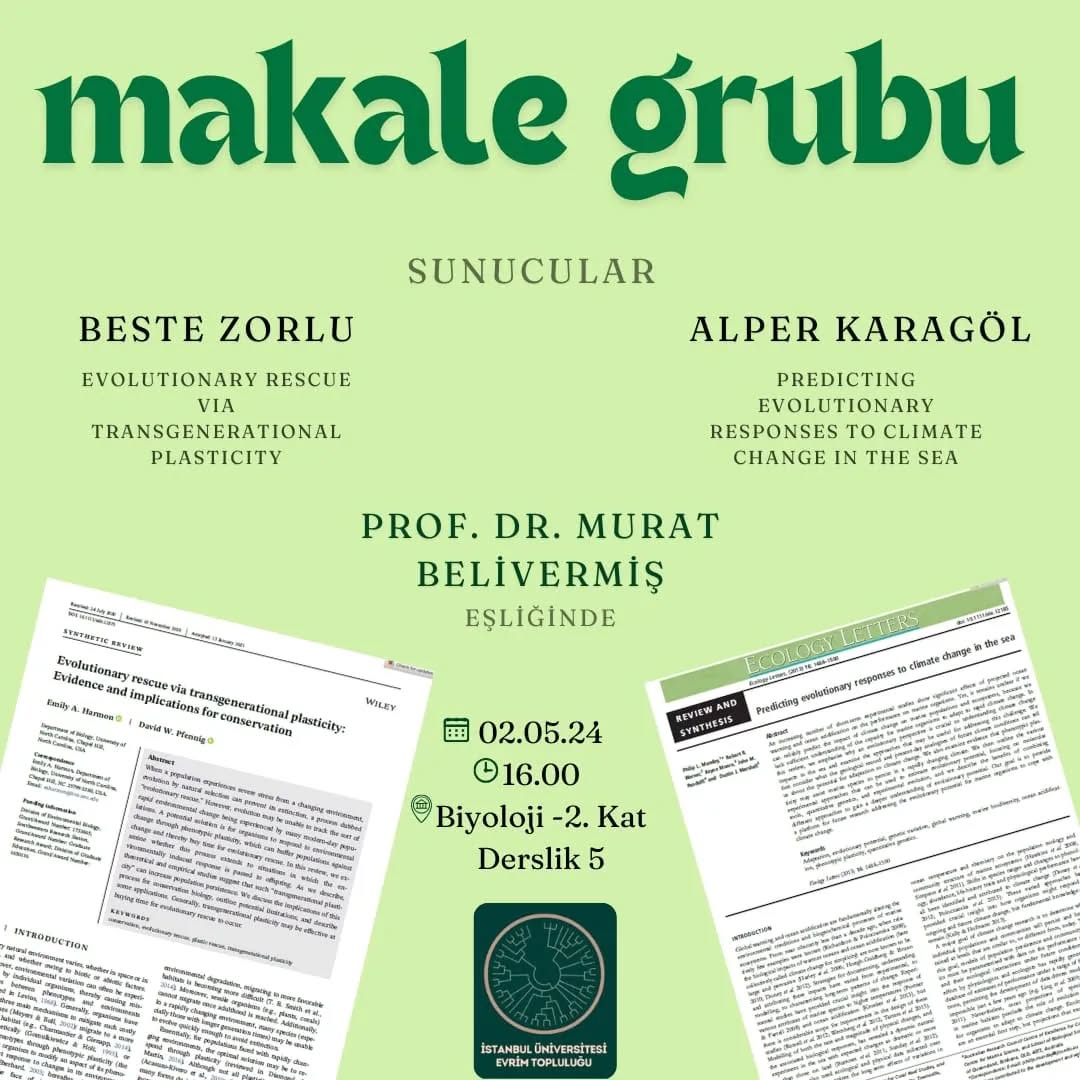 Makale Grubu — Prof. Dr. Murat Belivermiş