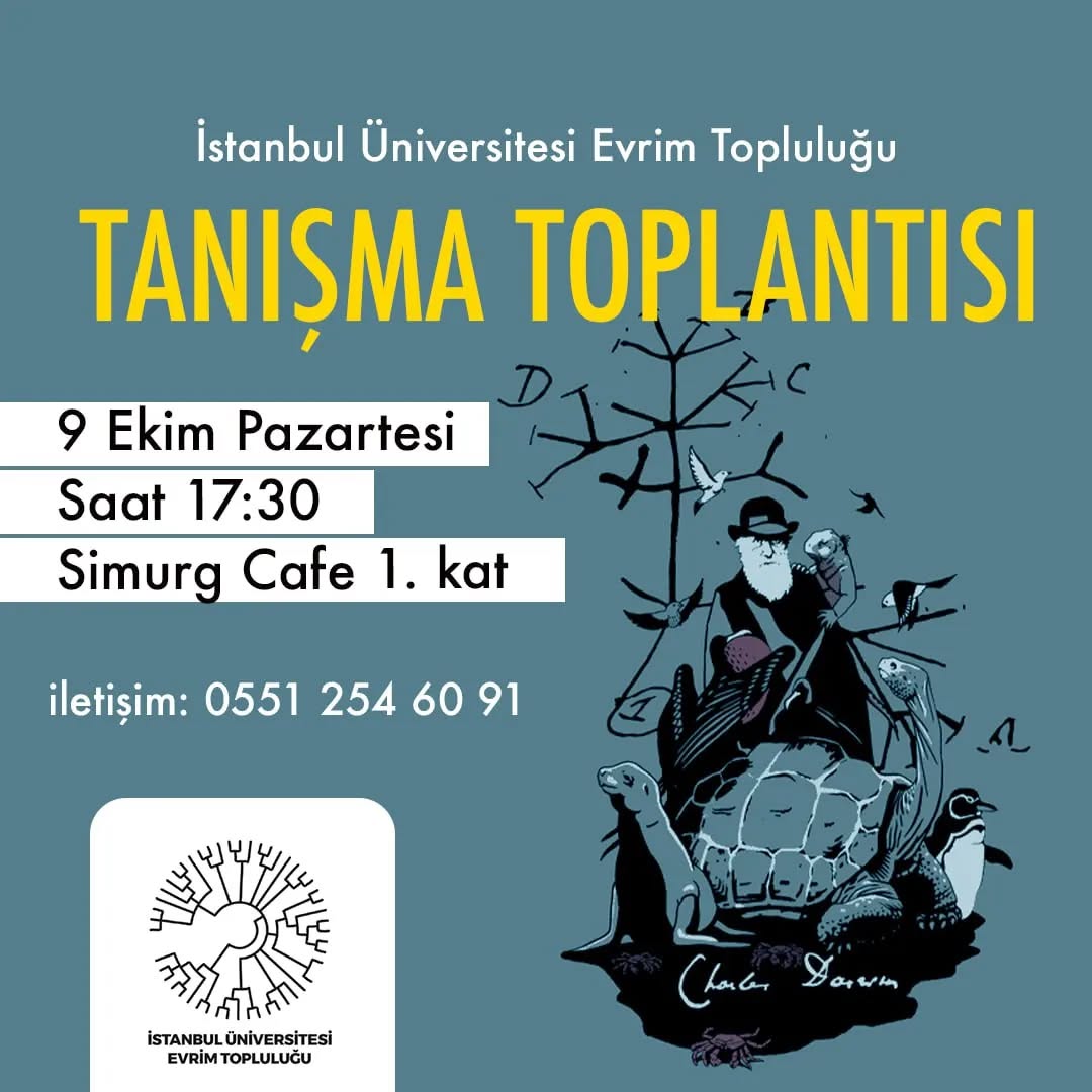 Tanışma Toplantısı