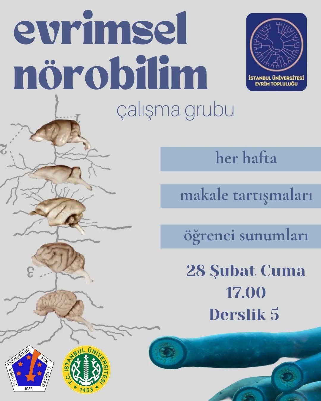 Evrimsel Nörobilim Çalışma Grubu — Oturum 1
