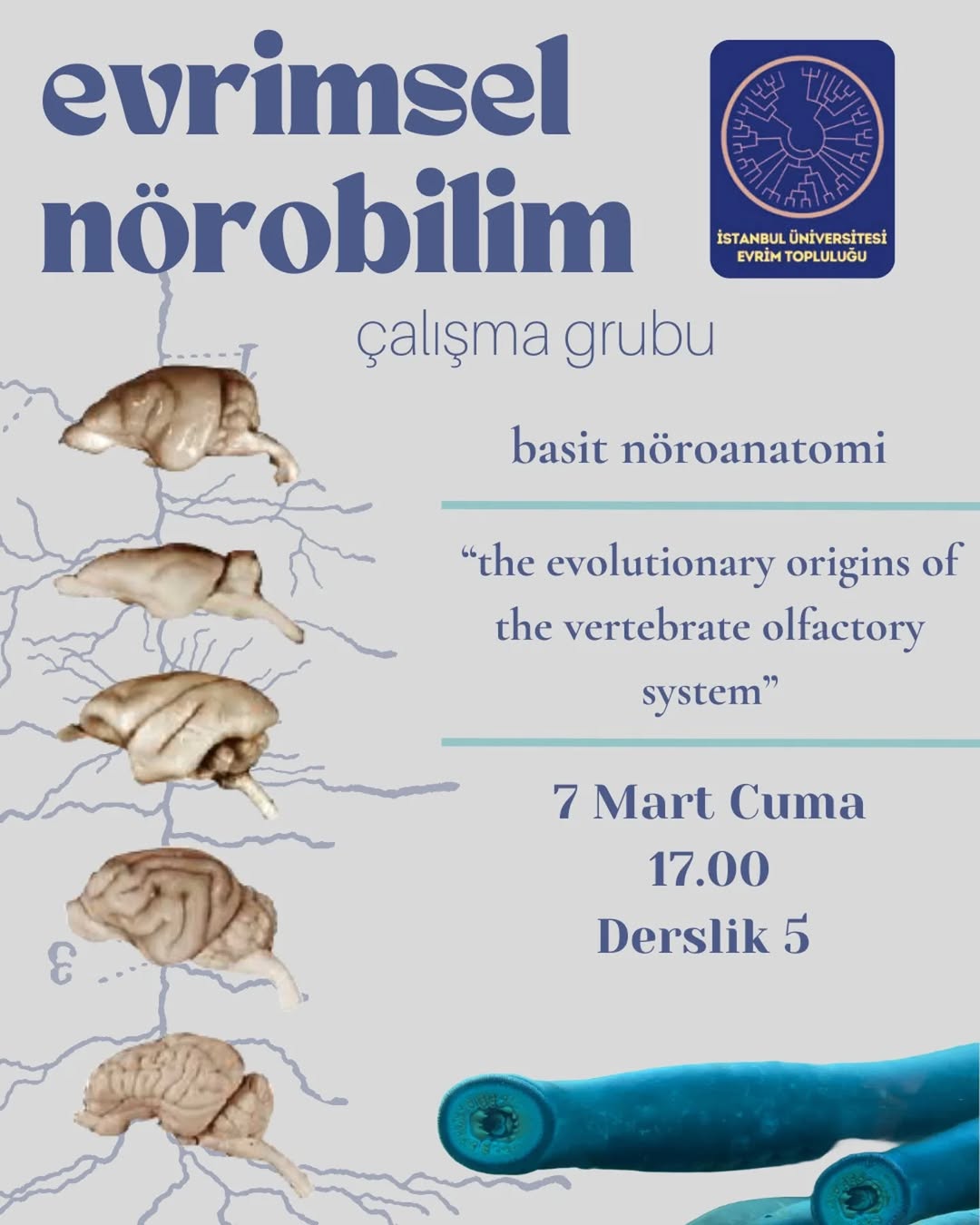 Evrimsel Nörobilim Çalışma Grubu — Oturum 2