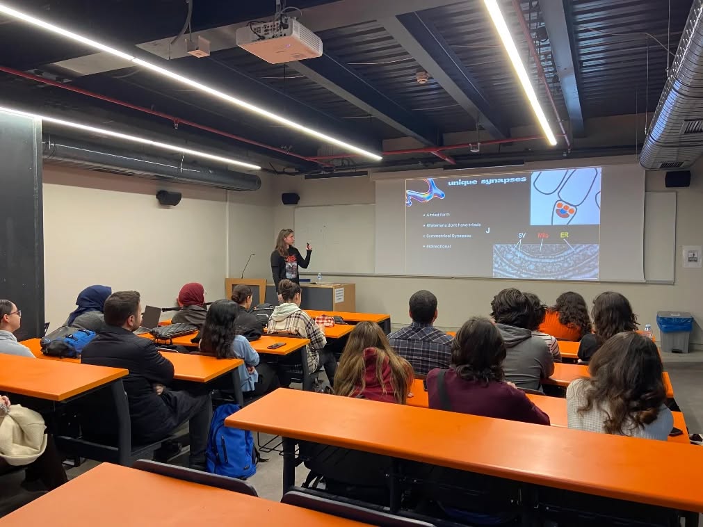 Sinir Sisteminin Omurgasız Kökenleri