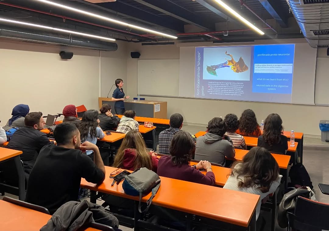 Sinir Sisteminin Omurgasız Kökenleri