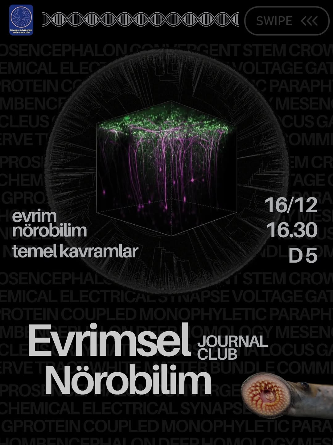 Evrimsel Nörobilim Journal Club — Oturum 2