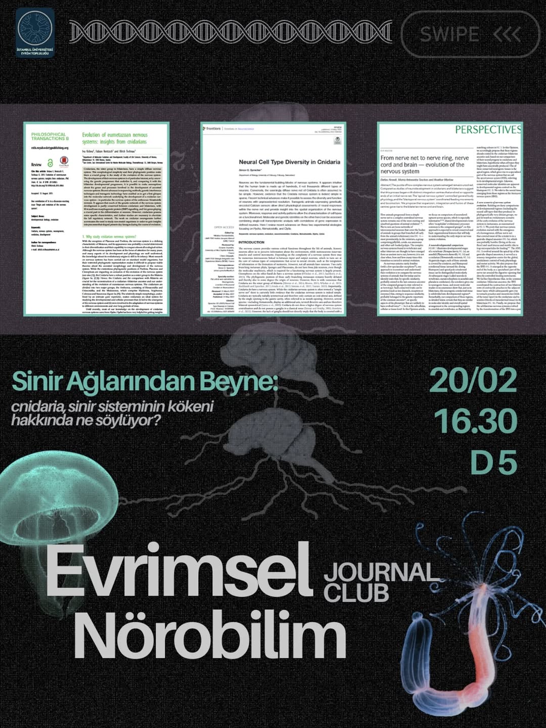 Evrimsel Nörobilim Journal Club: Cnidaria