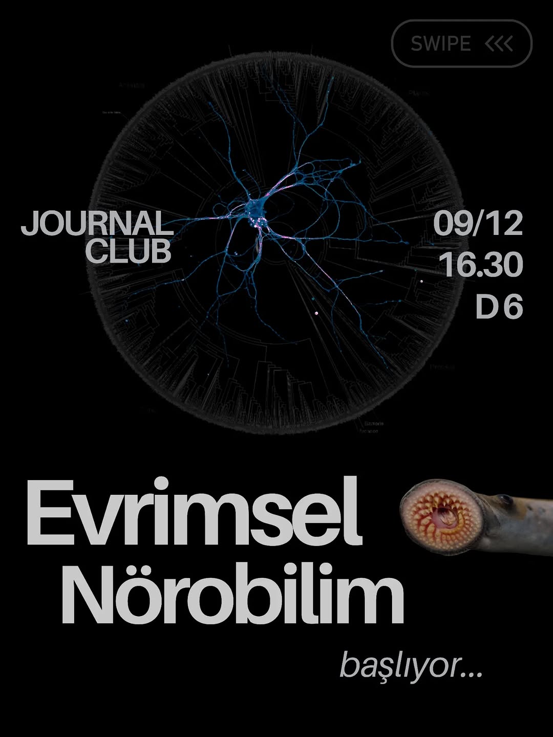 Evrimsel Nörobilim Journal Club — Oturum 1